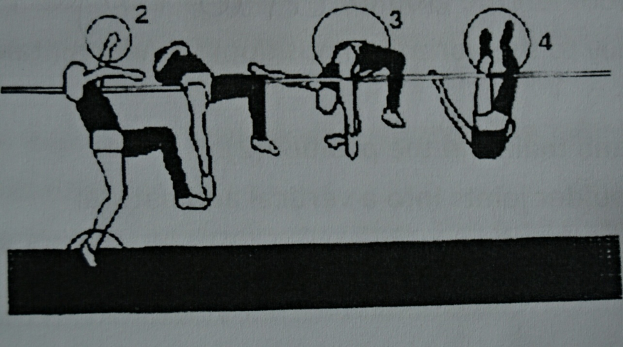 artikel6